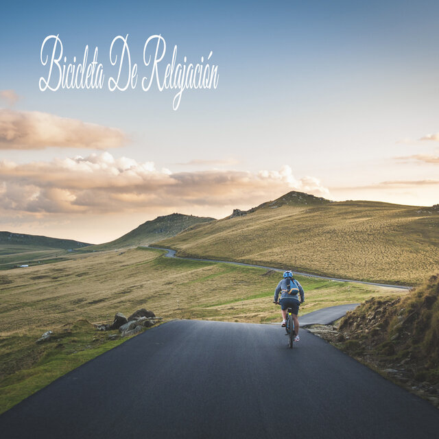 Bicicleta De Relajación
