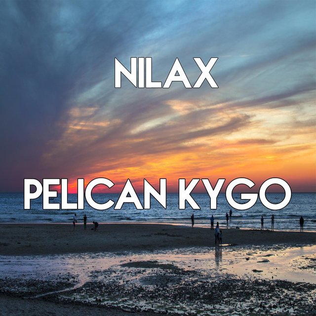 Pelican  Kygo