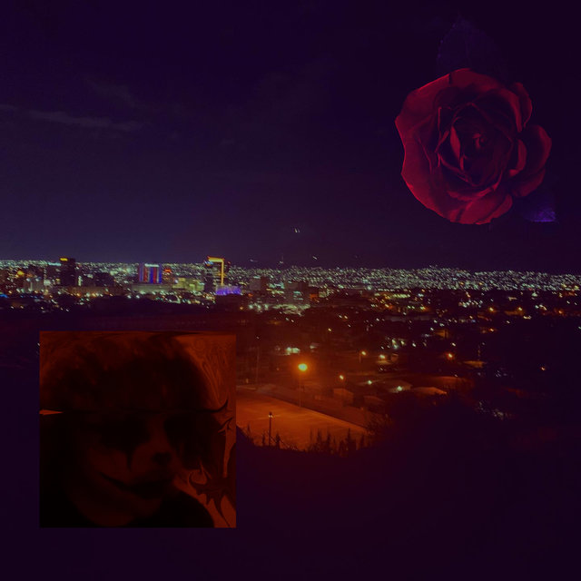 Black Rose