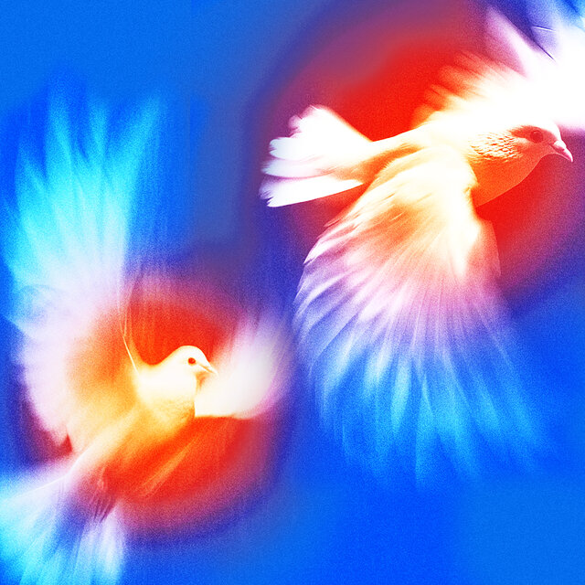 Paciencia Cero
