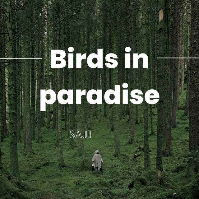 Birds In Paradise
