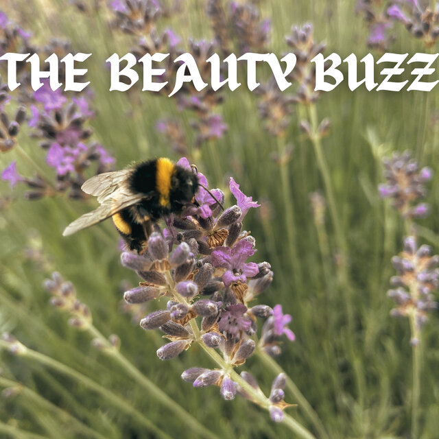 The Beauty Buzz