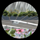 Love Attack (Lorenz Rhode Remix)