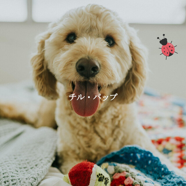 チル・パップ