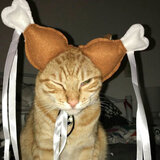hunny chimken