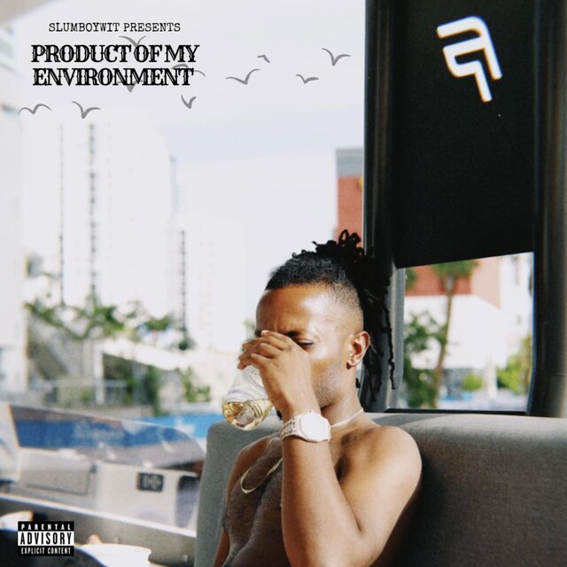 PRODUCT OF MY ENVIRONMENT