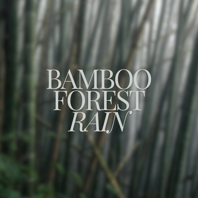 Bamboo Forest Rain