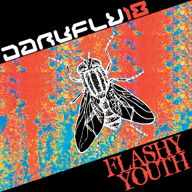 Flashy Youth