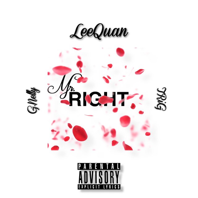 Mr. Right (feat. TRiG & G. Nelly)