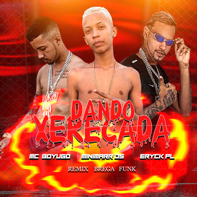 Dando Xerecada (Remix Brega Funk)