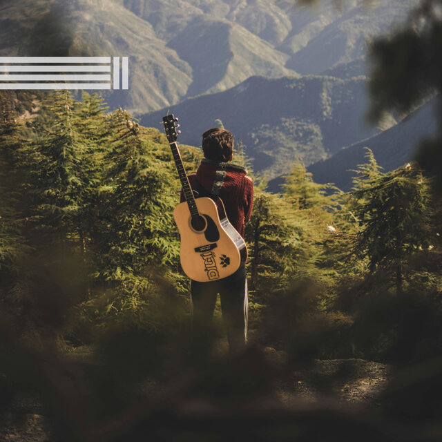 Guitare Relaxante Et Sons De La Forêt
