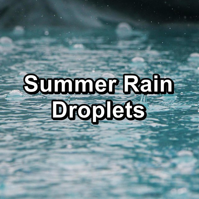 Summer Rain Droplets