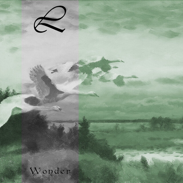 Wonder