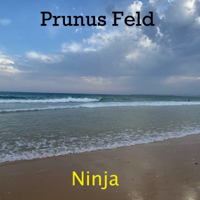 Ninja