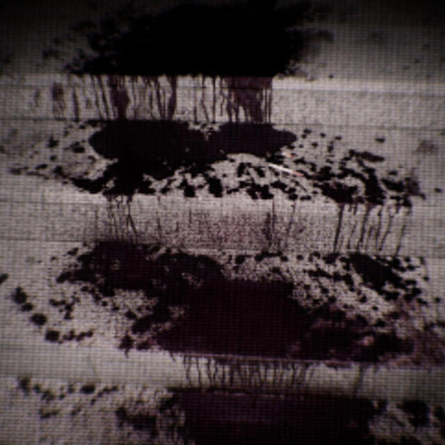 Blood on the Dance Floor