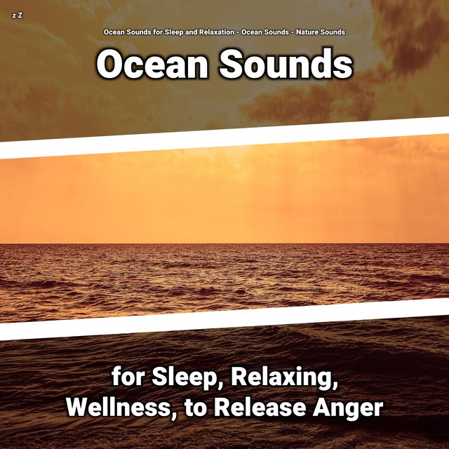 z Z Ocean Sounds for Sleep, Relaxing, Wellness, to Release Anger