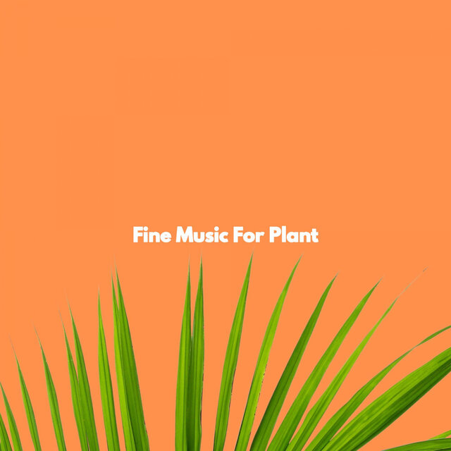 Fine Music For Plant
