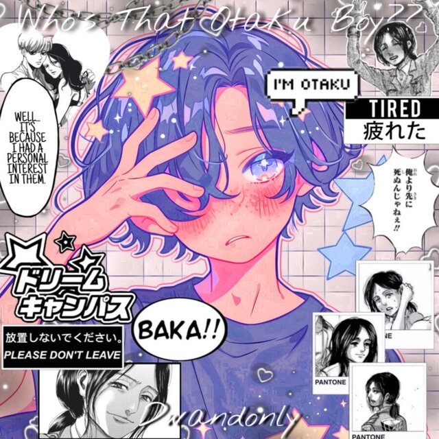 Who's That Otaku Boy??