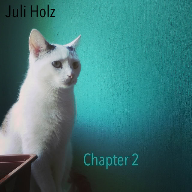 Chapter 2