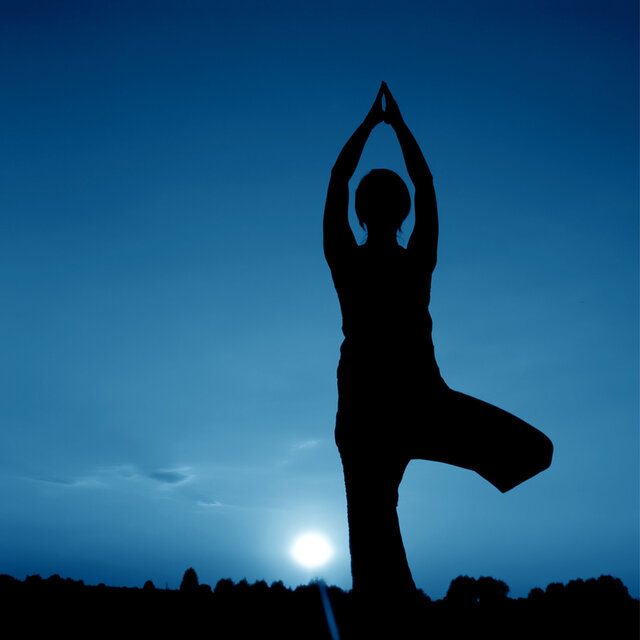 Yoga Moonlight Serenade: Chill Music Harmony Ocean