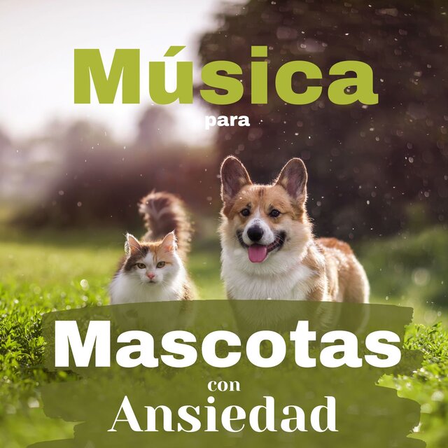 Música para Mascotas con Ansiedad: Canciones para Perros y Gatos Felices, Conciliar el Sueño Animal