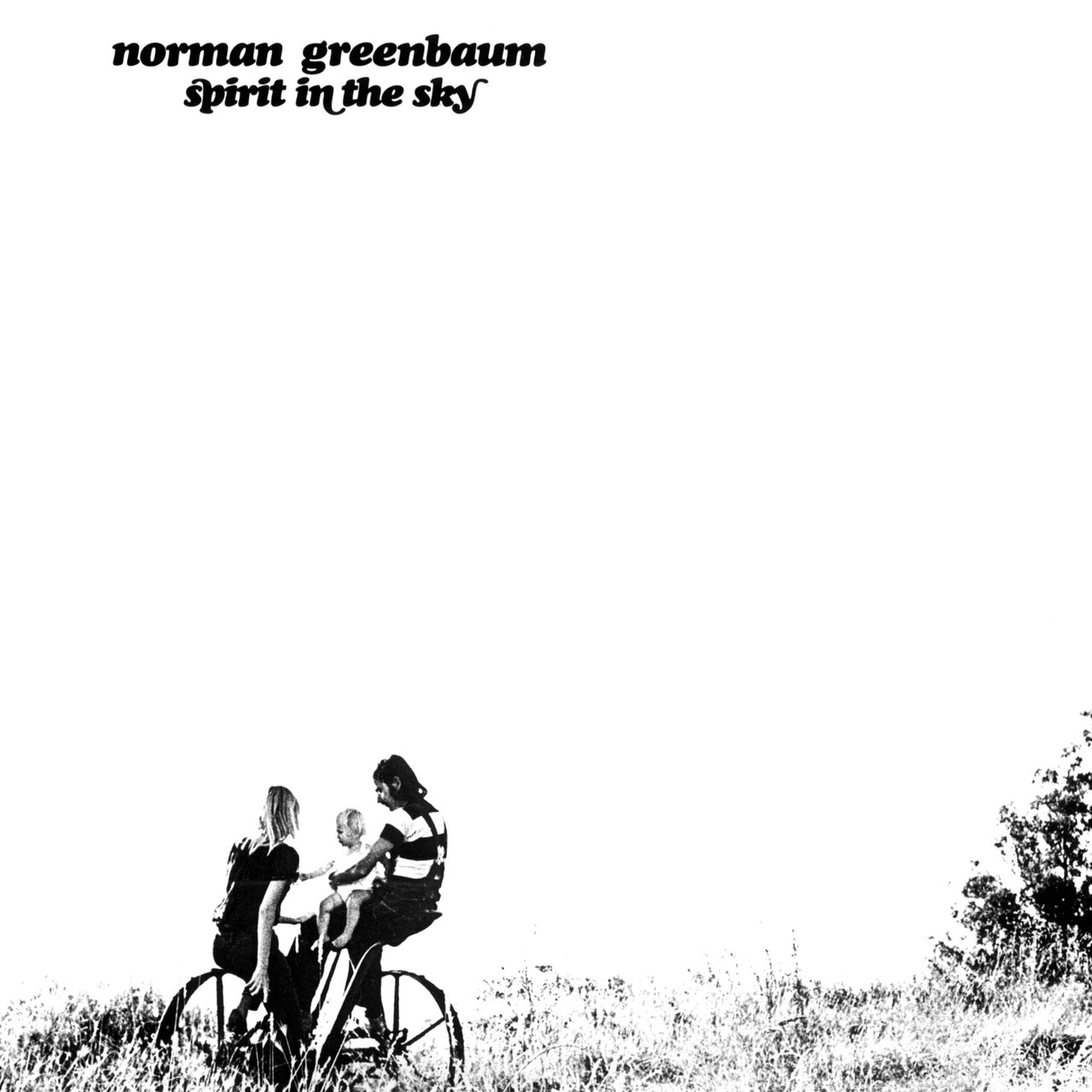 Spirit In The Sky (Deluxe Edition) by Norman Greenbaum on TIDAL