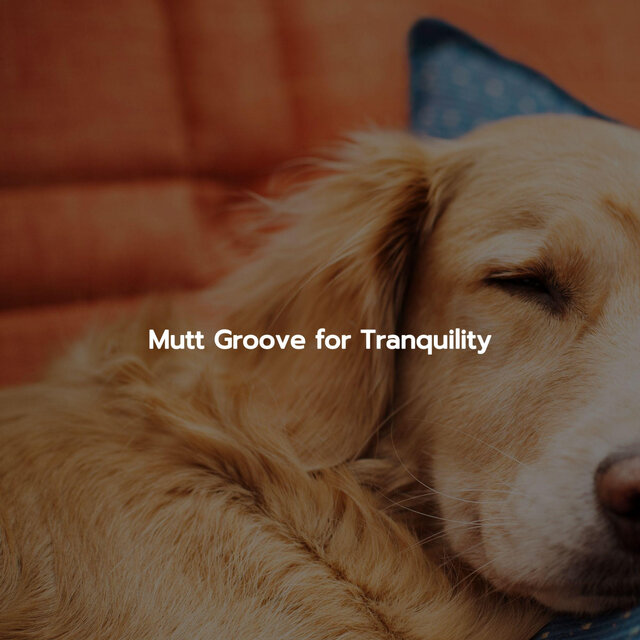 Mutt Groove for Tranquility