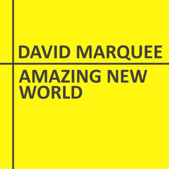 Amazing New World