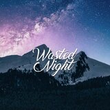 Wasted night