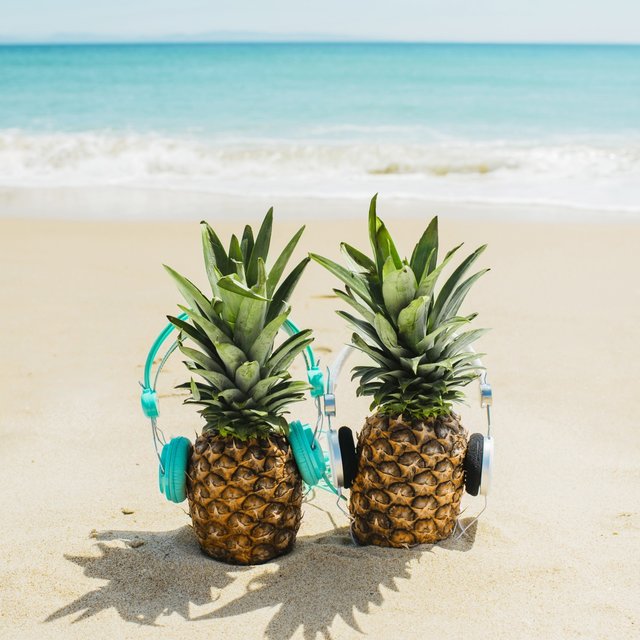 Vacation