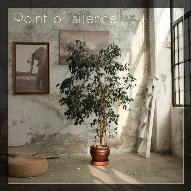 Point of Silence