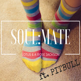 Soulmate (feat. Pitbull) [BigBeat EDM Extended Remix]