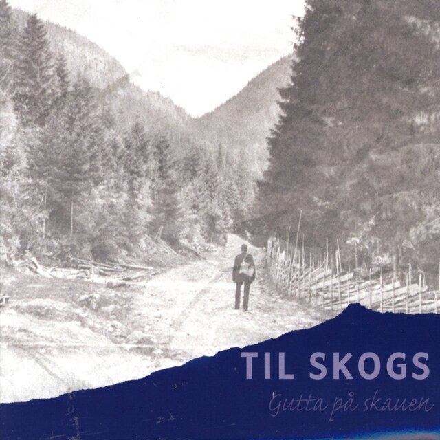 Til Skogs