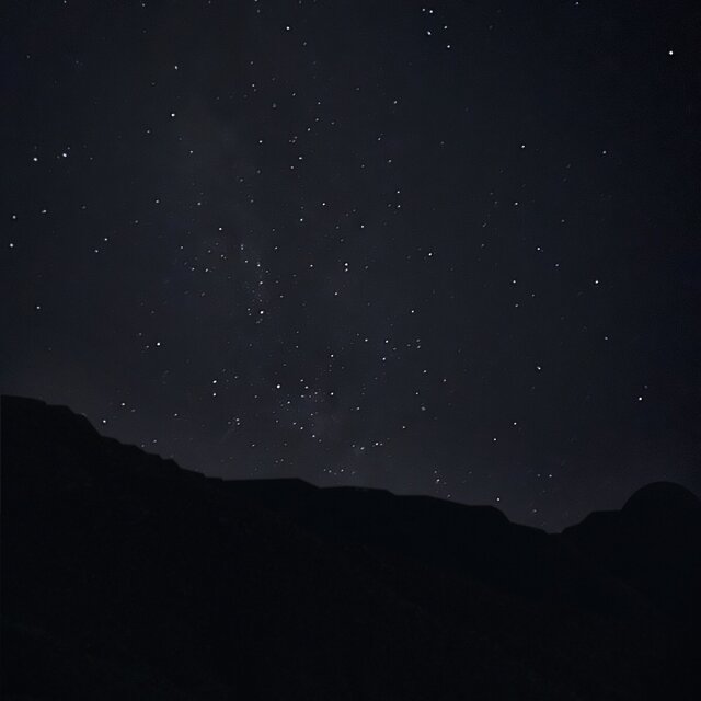 Stellaria