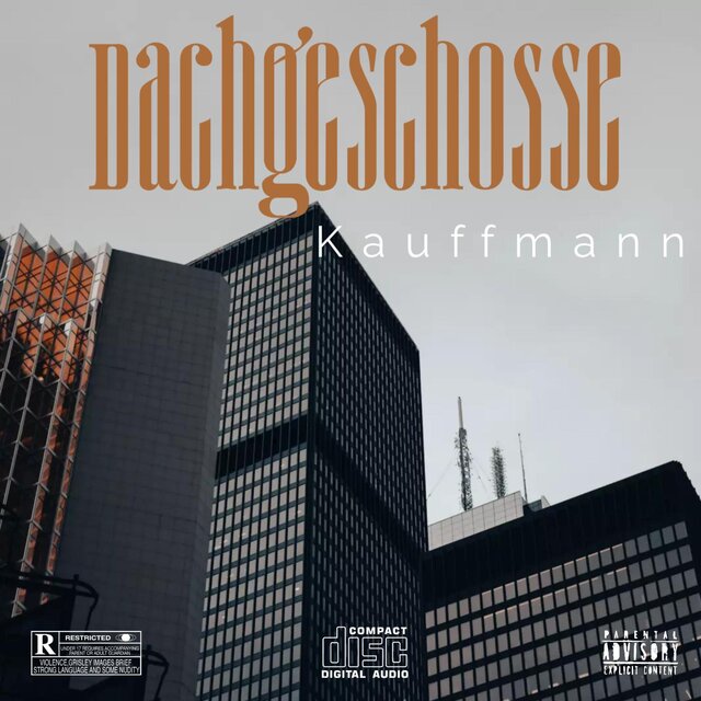 Dachgeschosse