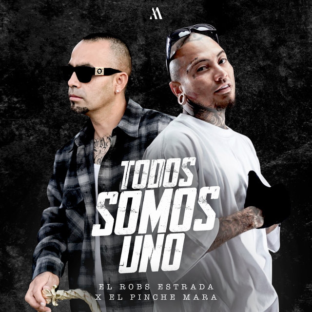 Todos Somos Uno