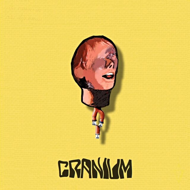 Cranium