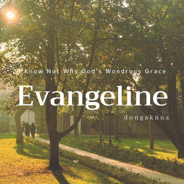 I Know Not Why God's Wondrous Grace