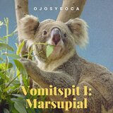 Despegue y Aterrizaje Instrumental