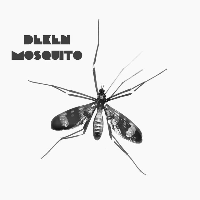 Mosquito