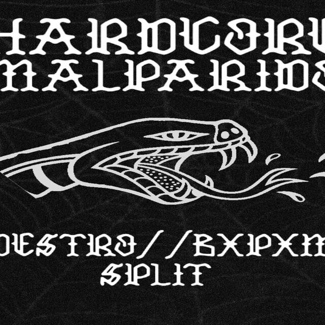 Hard Core Malparido