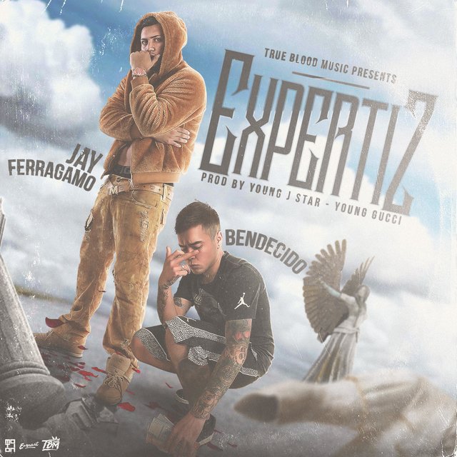 Expertiz
