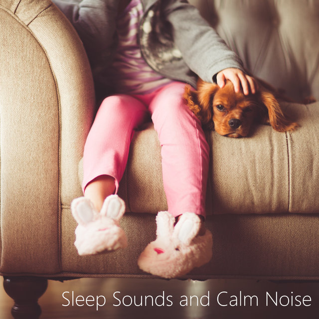 Sounds for Sleep Baby. White Noise Shusher. Looped No Fade Noise.