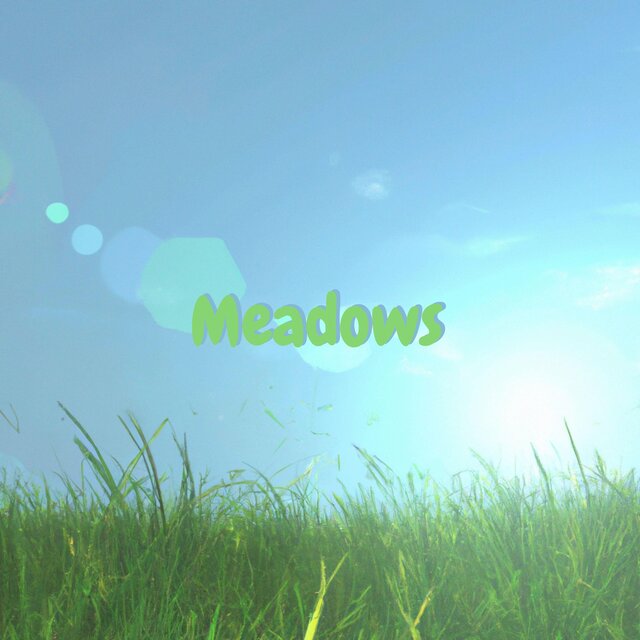 Meadows