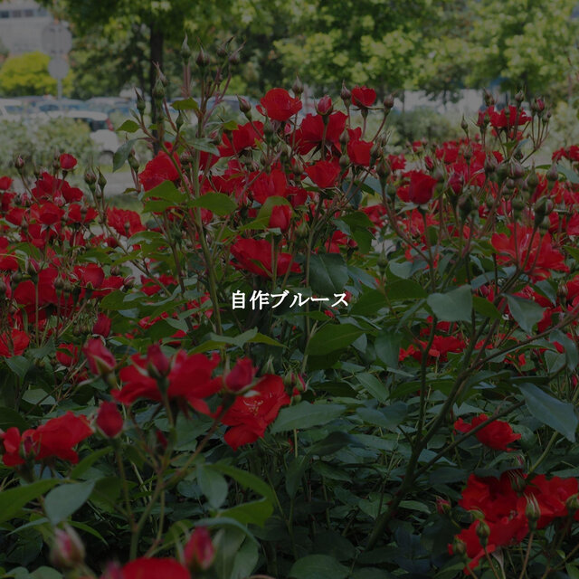 自作ブルース