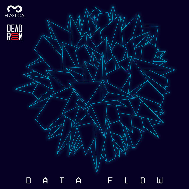 Data Flow