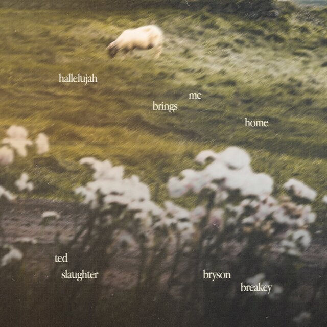 Hallelujah Brings Me Home