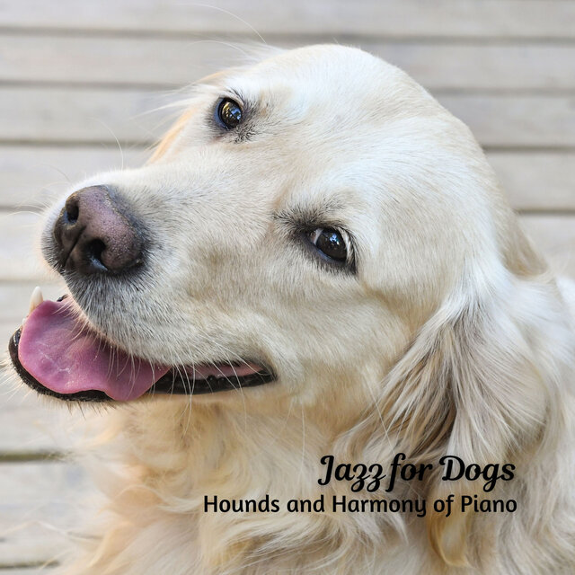 Jazz for Dogs: Hounds and Harmony of Piano