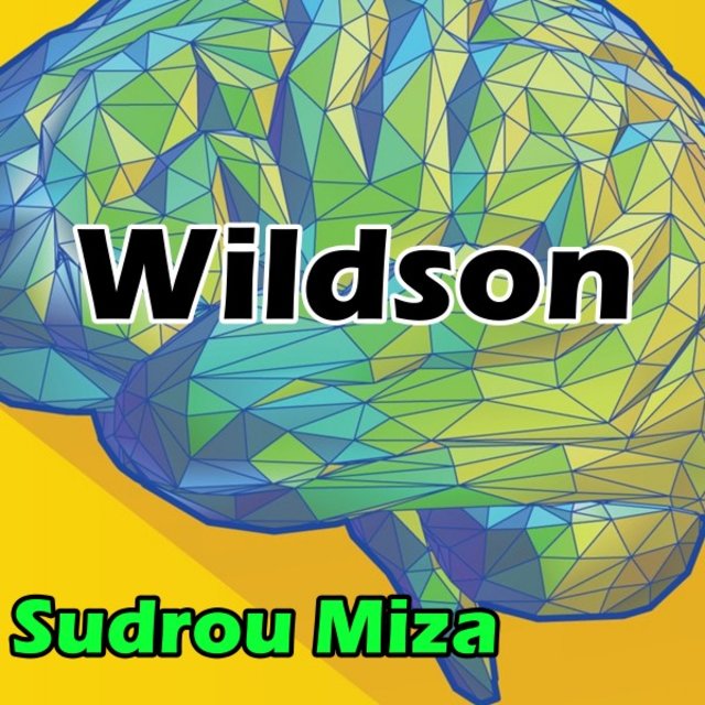Wildson