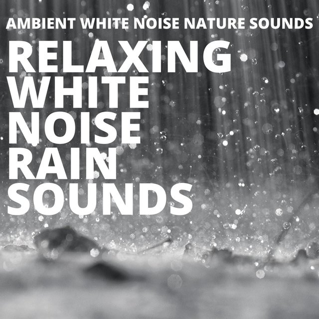 Relaxing White Noise Rain Sounds